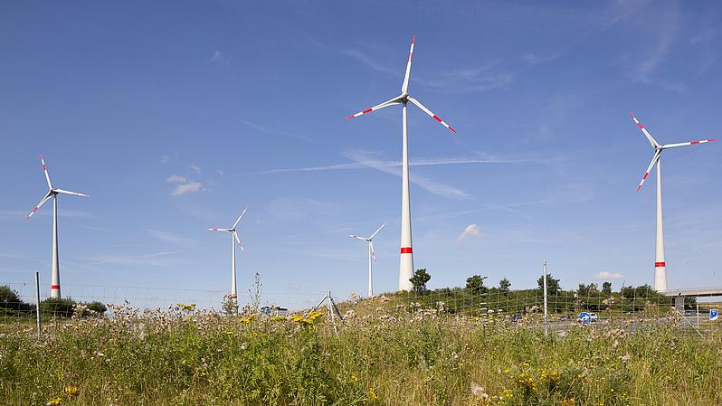 Trogen I | 2011/2012