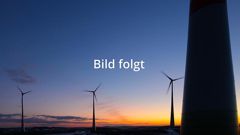 Vogelherd | 2017